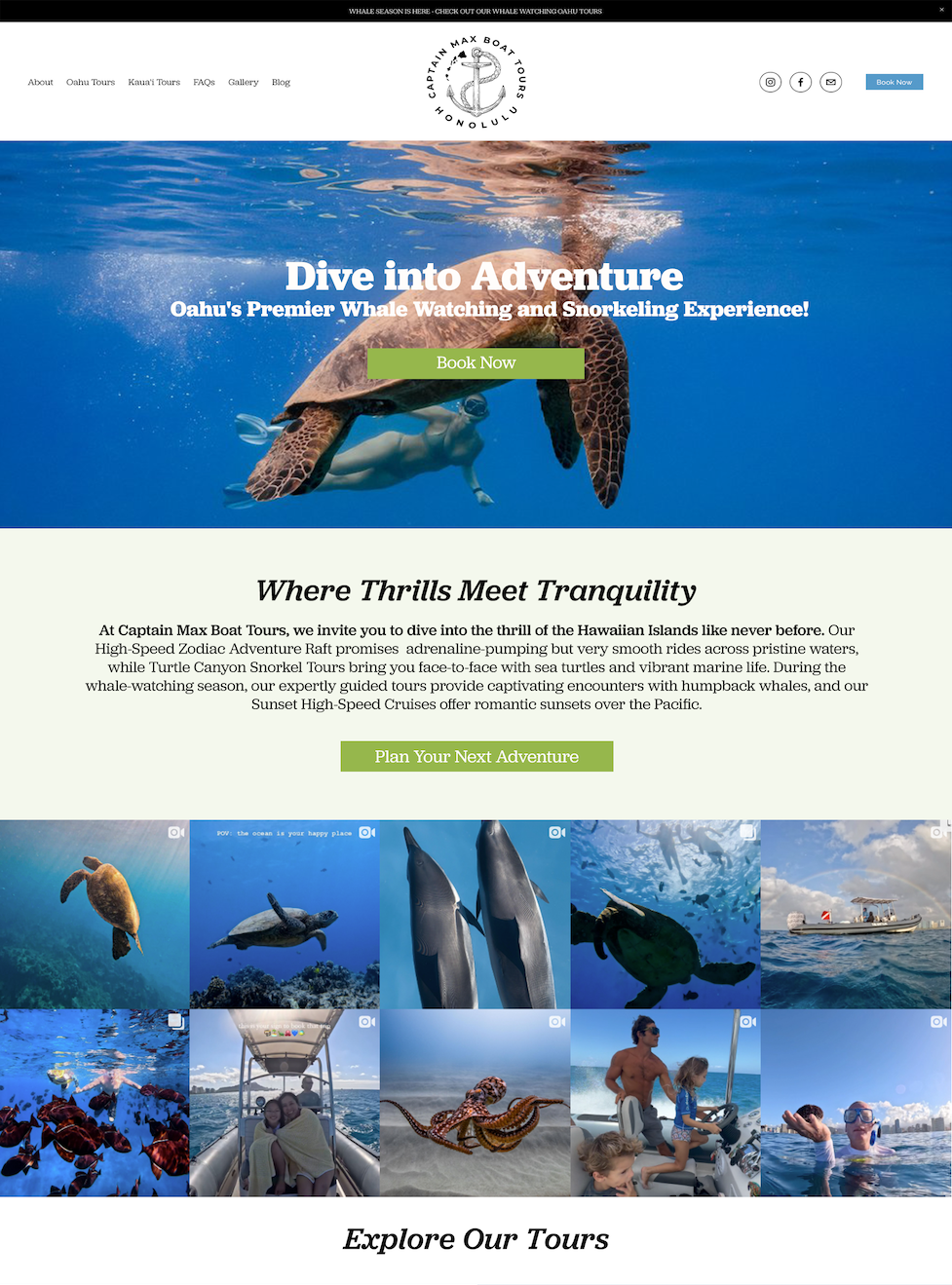 Creative digital agency project