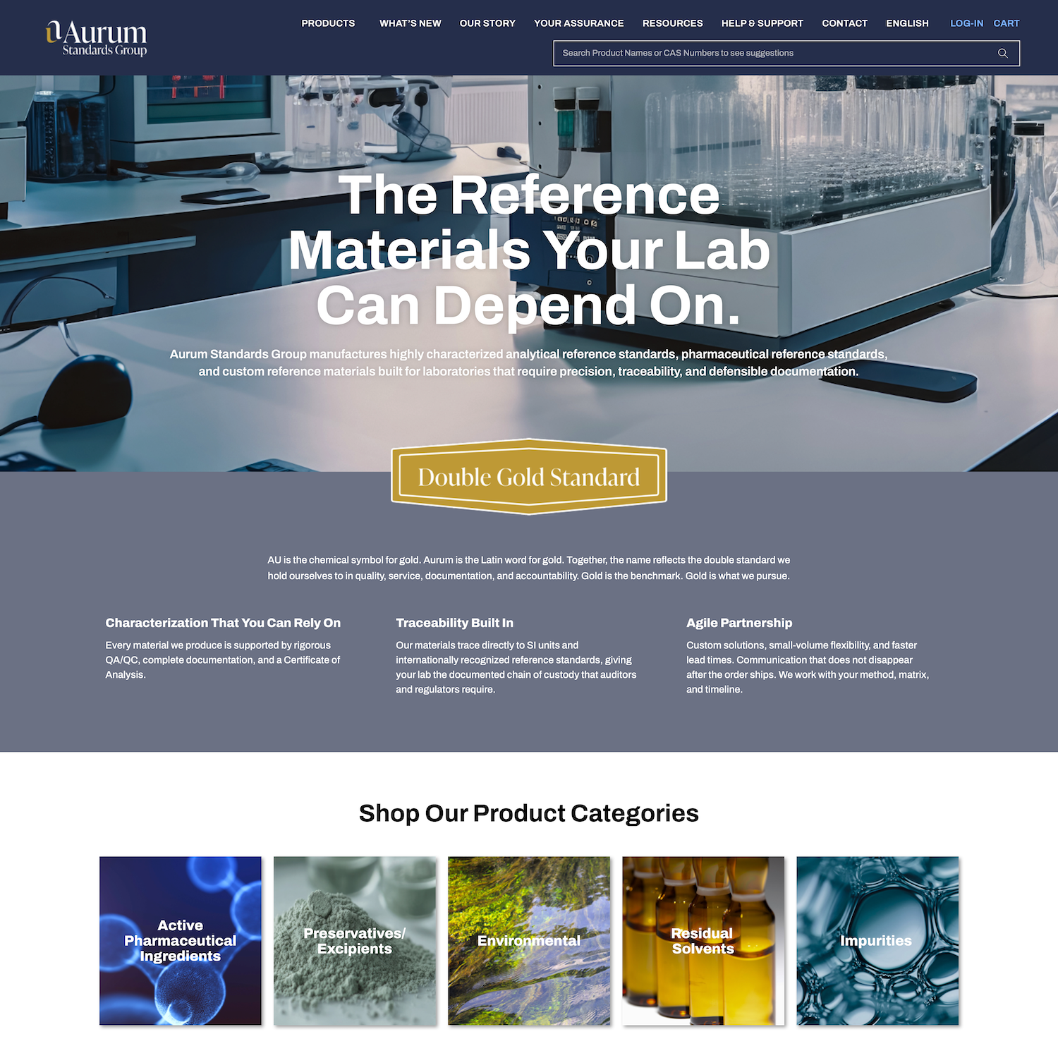 Website homepage top